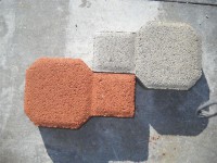 /album/foto/phoca-thumb-l-5-small-jpg/